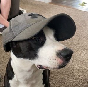 Meet your Posher, Kevin